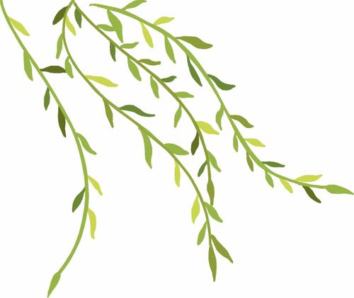 今年南寧人的歌來了 邕江組曲系列音樂電視作品上線發布 活動回顧